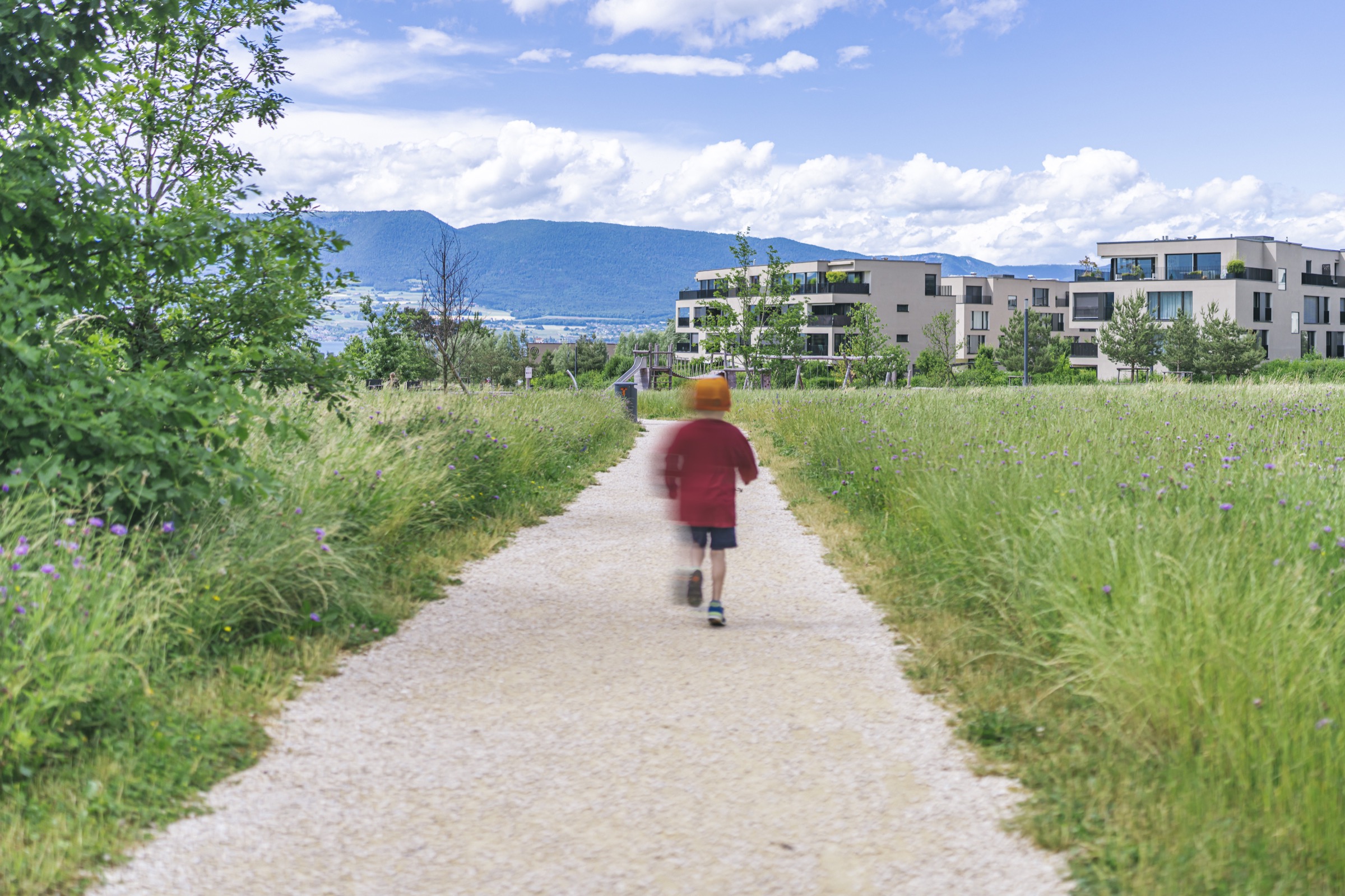 Chemin au cœur de la biodiversité des Portes du Lac