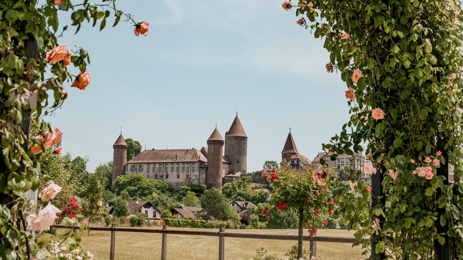 Le château de Chenaux encadré de roses à Estavayer-le-Lac
